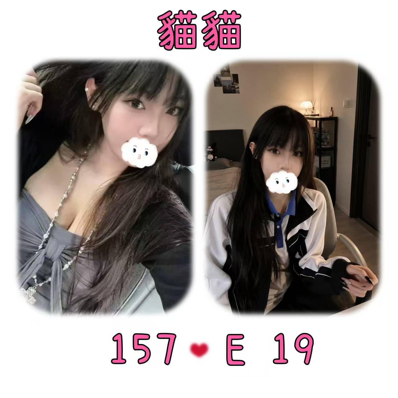 貓貓
