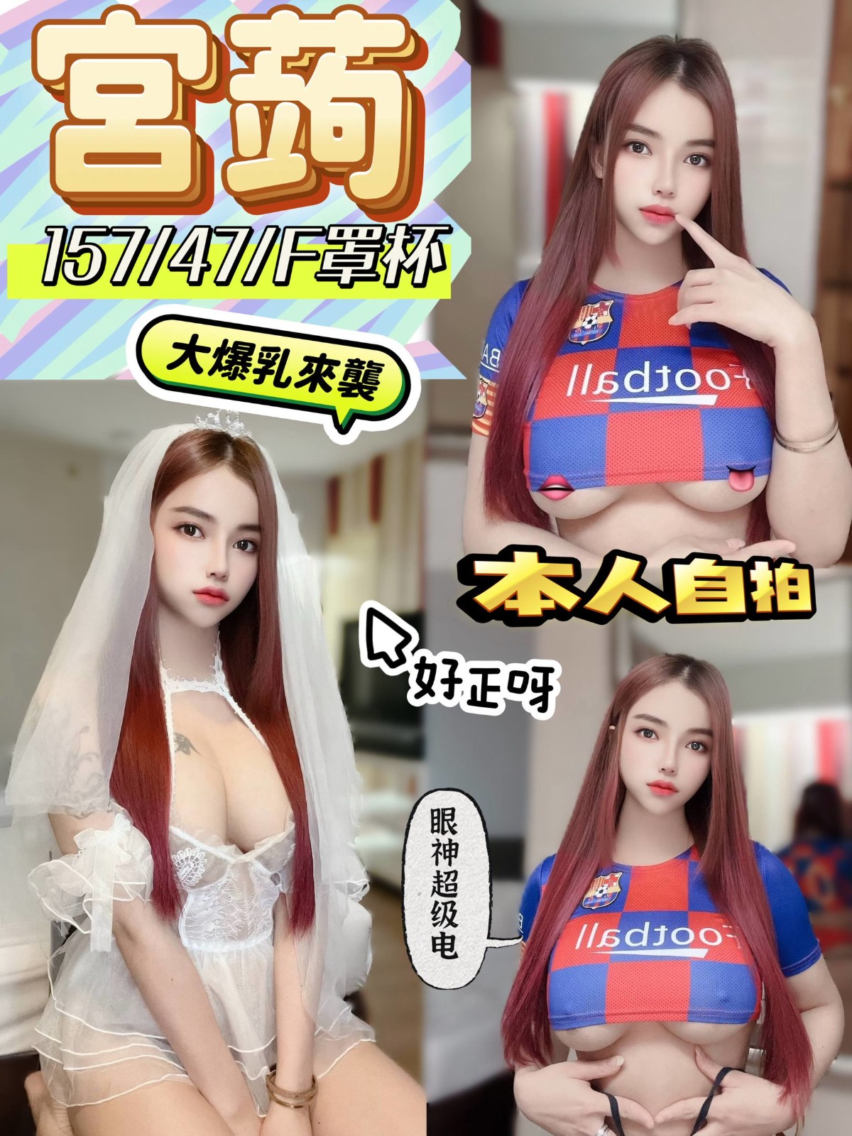 宮蒟
